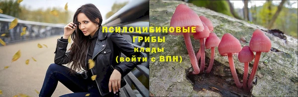 скорость Сафоново