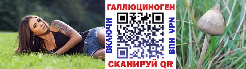 Псилоцибиновые грибы прущие грибы  цены   Вытегра 